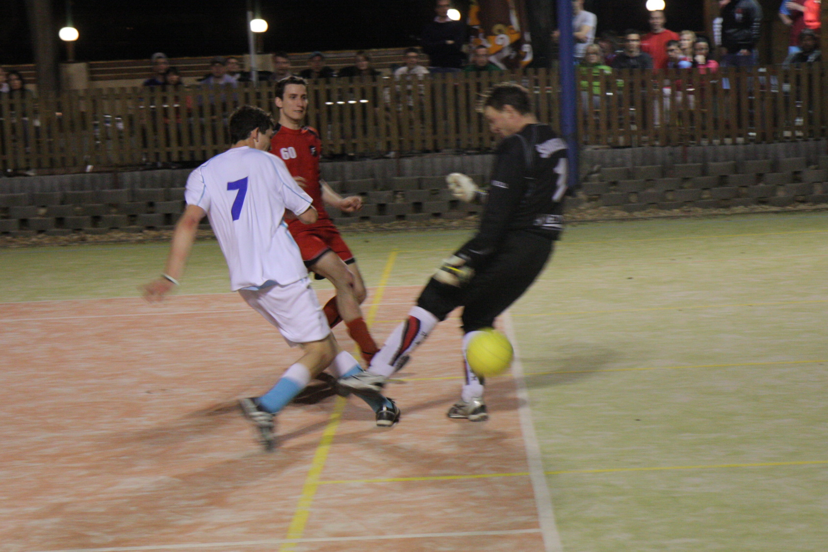 IMG_5175.JPG